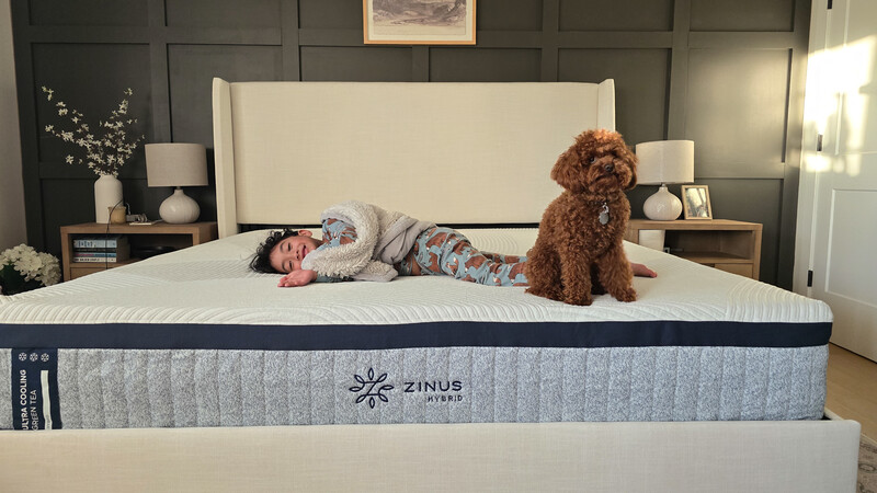 Zinus hybrid mattress on an upholstered bed frame, supporting everyday family use; a child and small dog rest on the mattress, illustrating spacious comfort, durability, and supportive performance suitable for shared lounging and sleep.