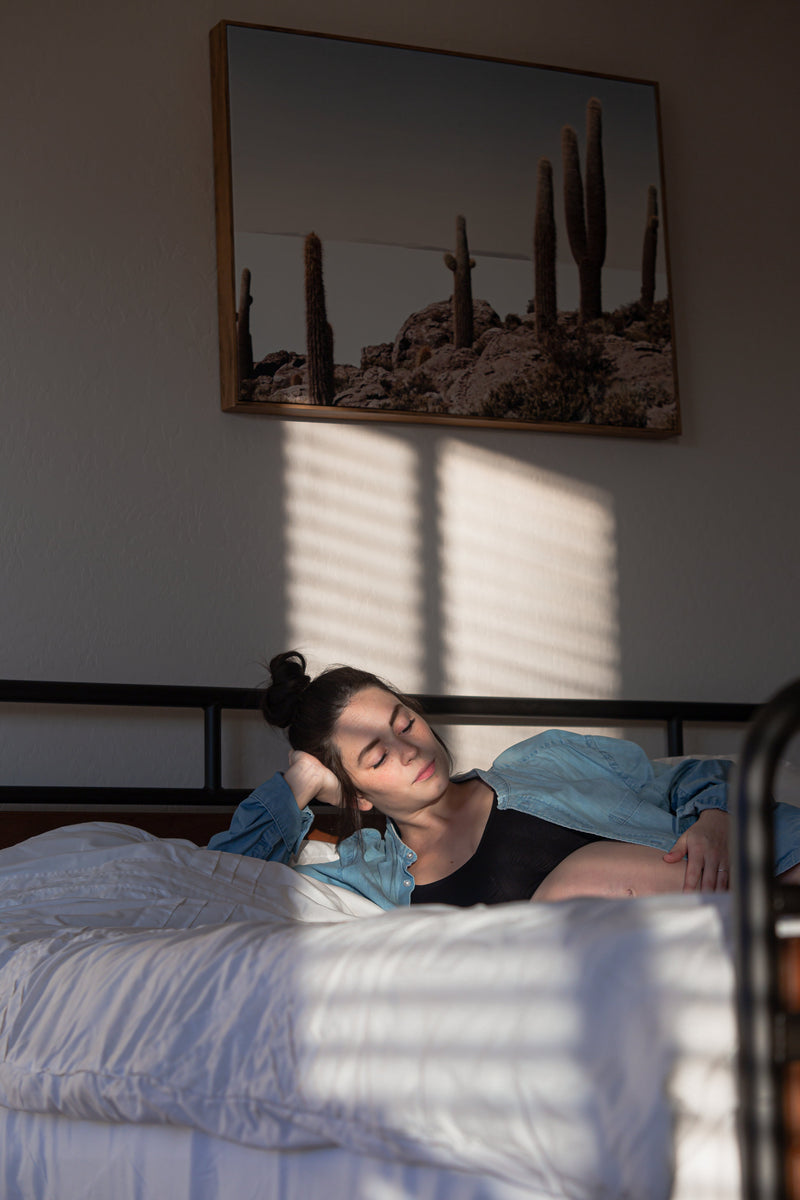 Person resting on a sunlit bed, leaning on one arm beneath cactus artwork.