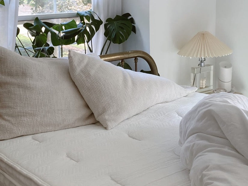 Sunny bedroom corner with a brass bed frame, white textured pillows, soft bedding, leafy plants by the window, and a pleated lamp on the nightstand.