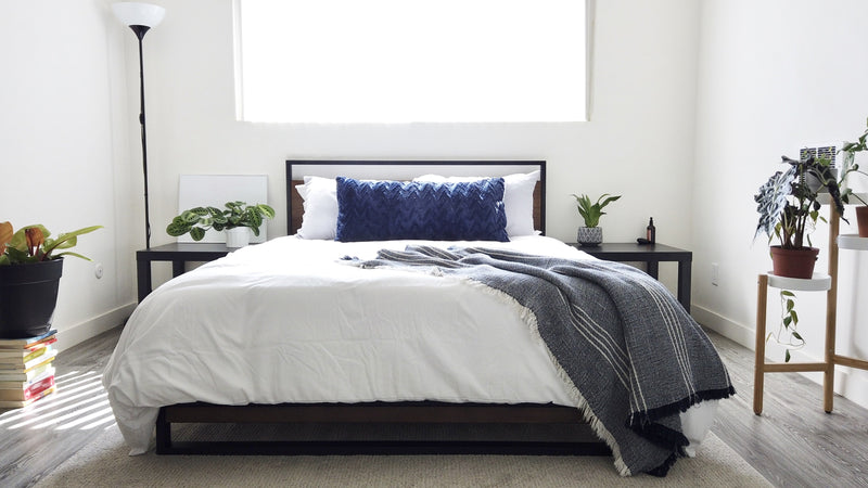 Bright bedroom with a modern black platform bed, crisp white bedding, a blue accent pillow, and surrounding plants that add a fresh, minimal feel to the space.