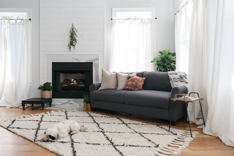 Bright living room with white curtains, a dark sofa, plants, a lit fireplace, and a small dog resting on a patterned rug