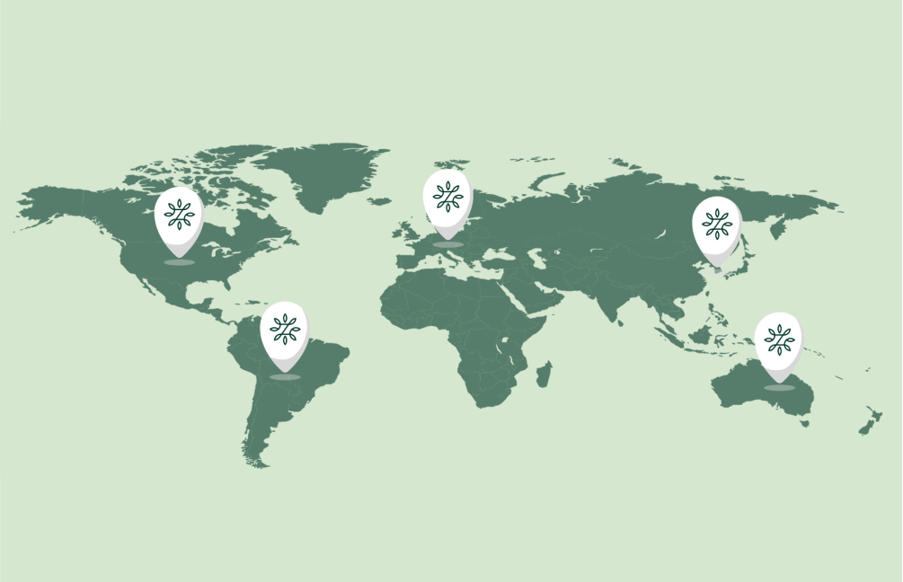 Illustrated world map with Zinus location markers across North America, South America, Europe, Asia, and Australia, conveying global presence, international operations, and worldwide reach of Zinus products and design.